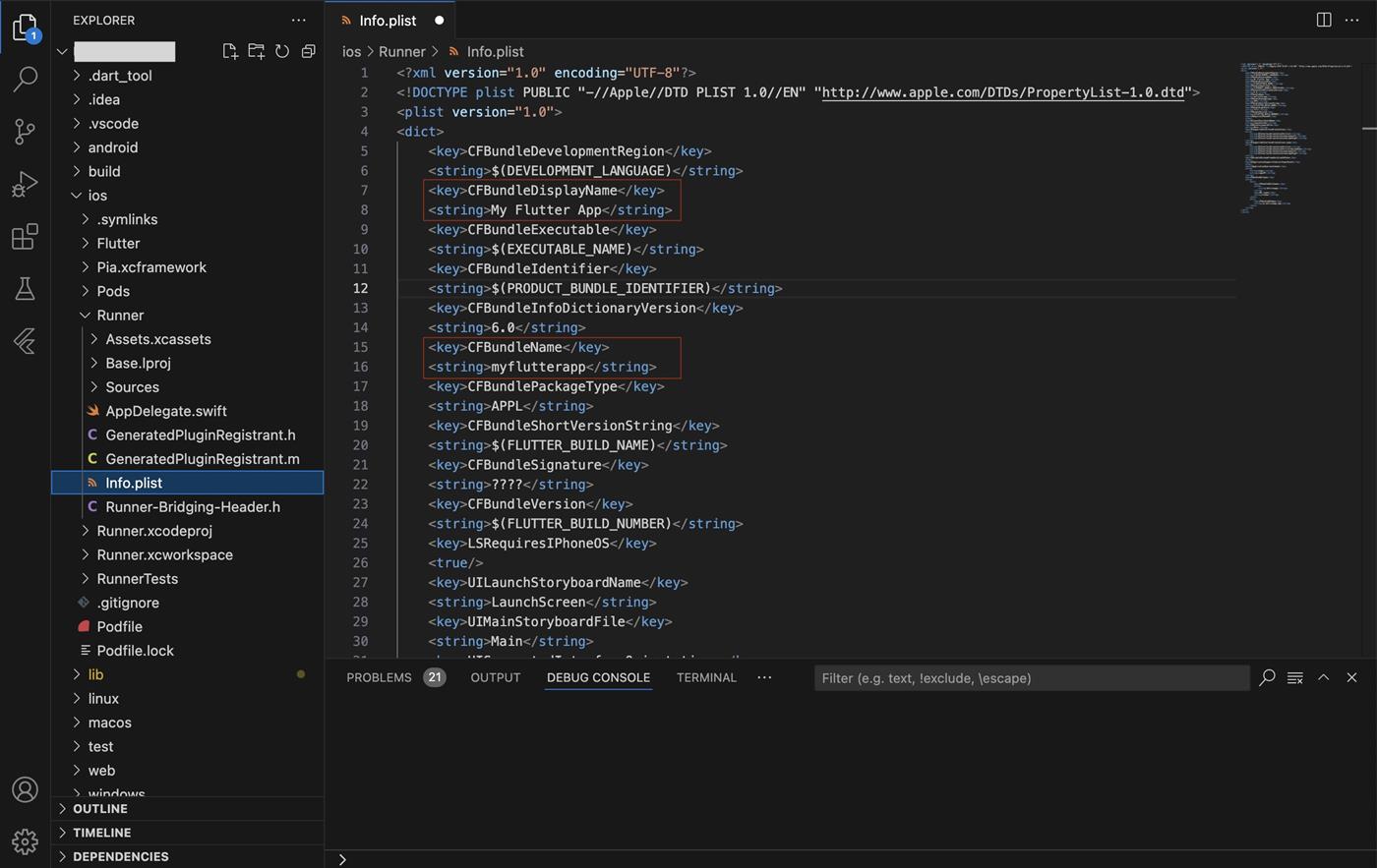 Flutter Change Name - iOS Info.plist change CFBundle...